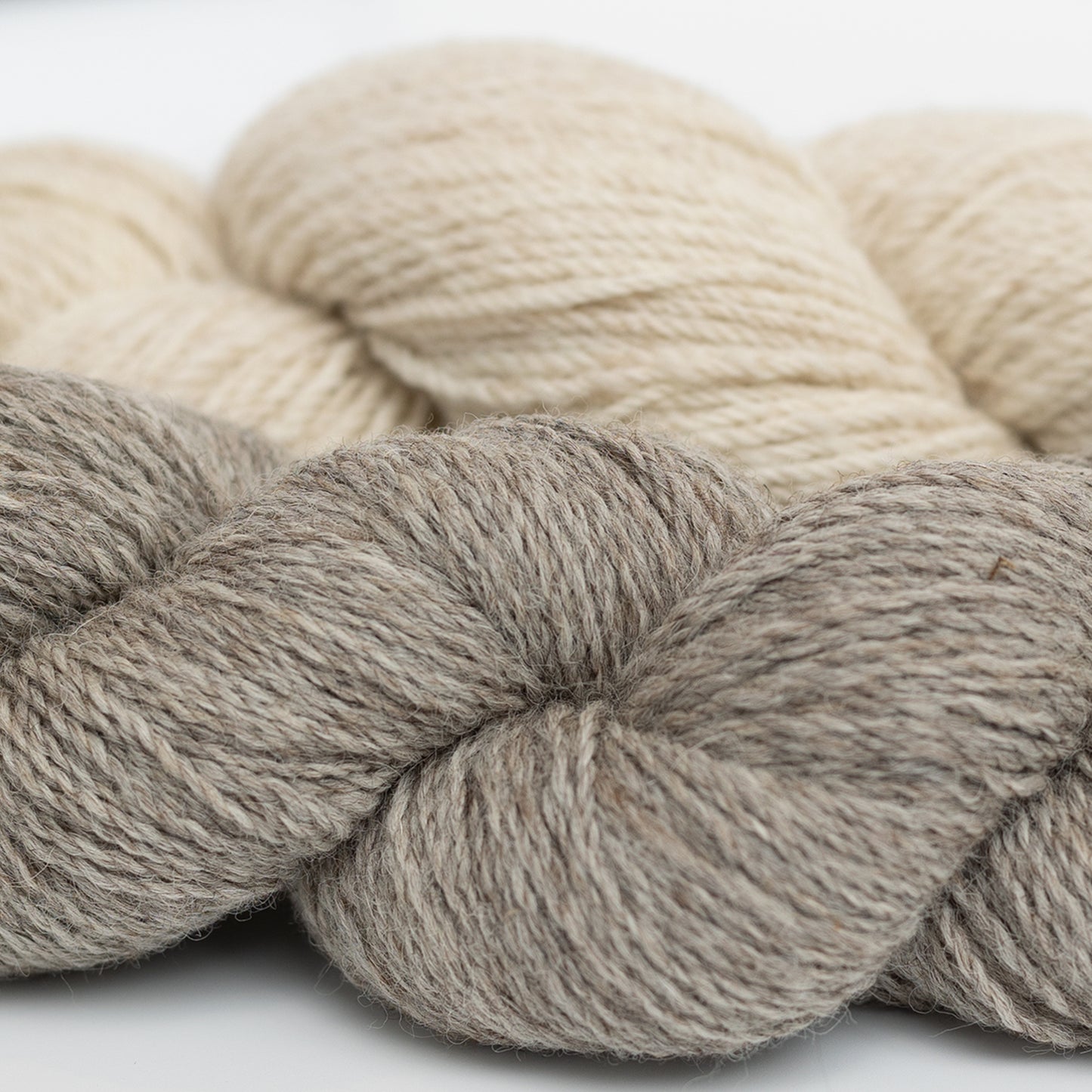 Shetland 20